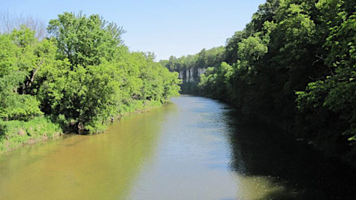 Cedar River canoeing