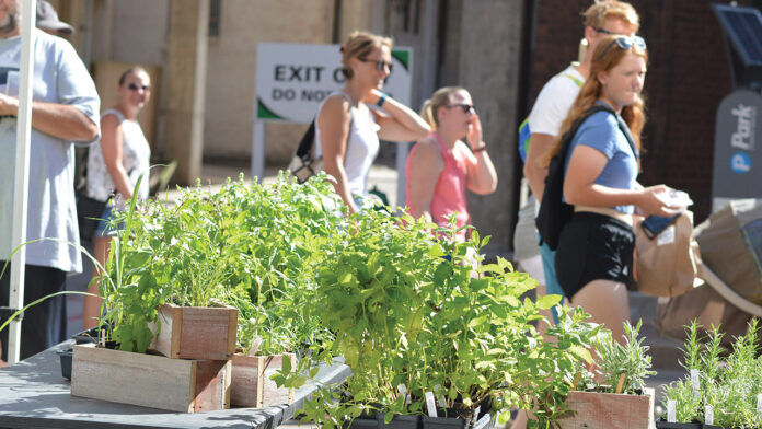 dtfm plants Customers walk past plants at the Downtown Farmers Market last year in Cedar Rapids.