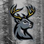 Iowa Heartlanders team logo