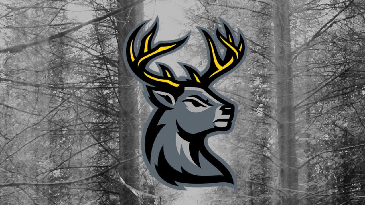 Iowa Heartlanders team logo