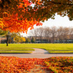 The courtyard entrance to the ACT Iowa City campus in the fall.