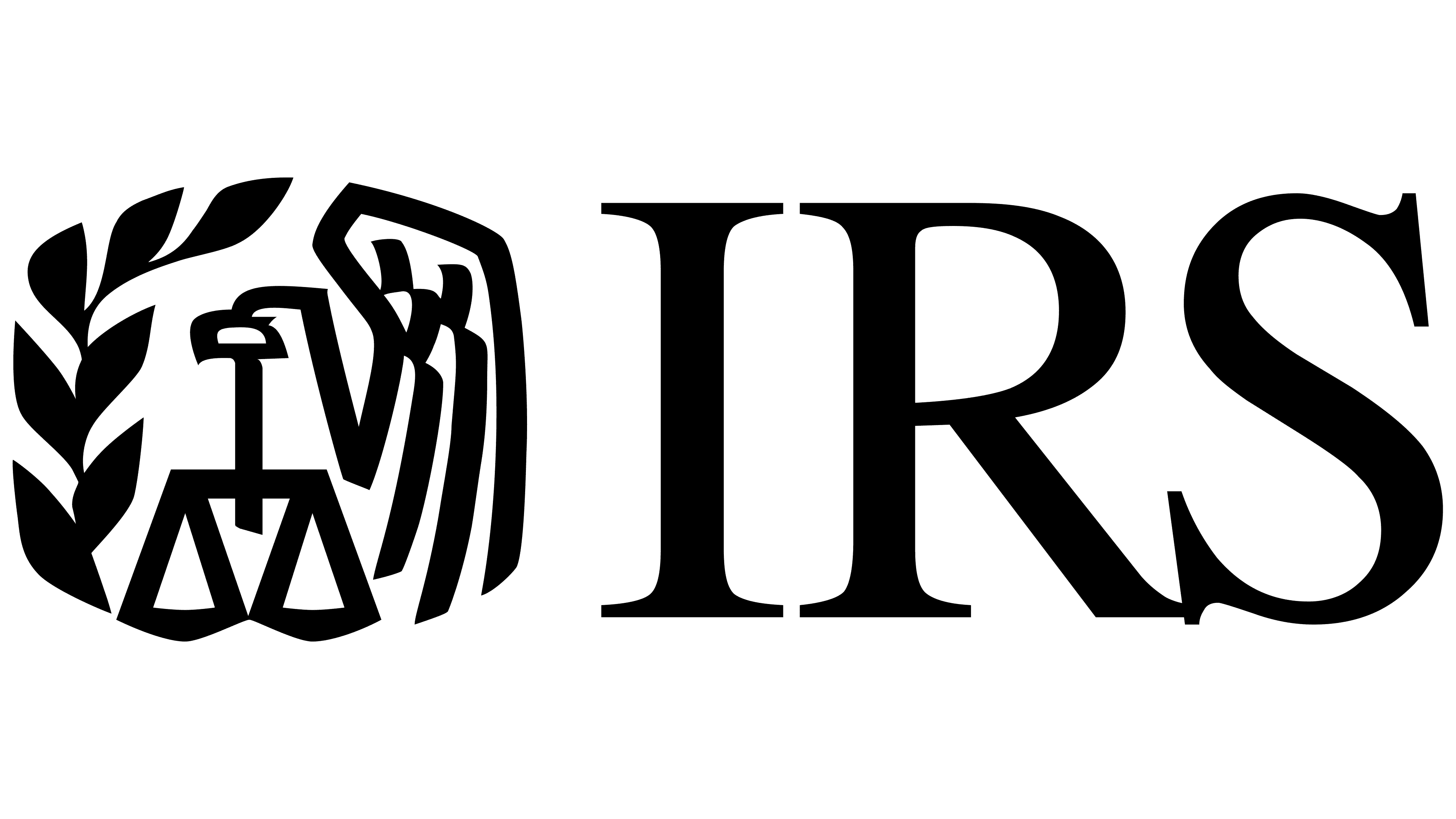 A University of Iowa professor was named to a select IRS committee.