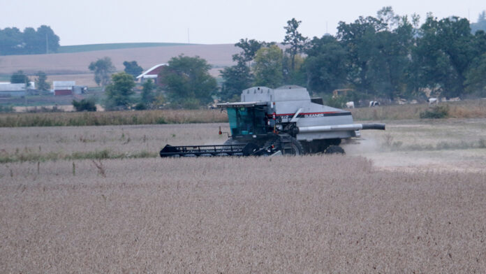 Harvest yields