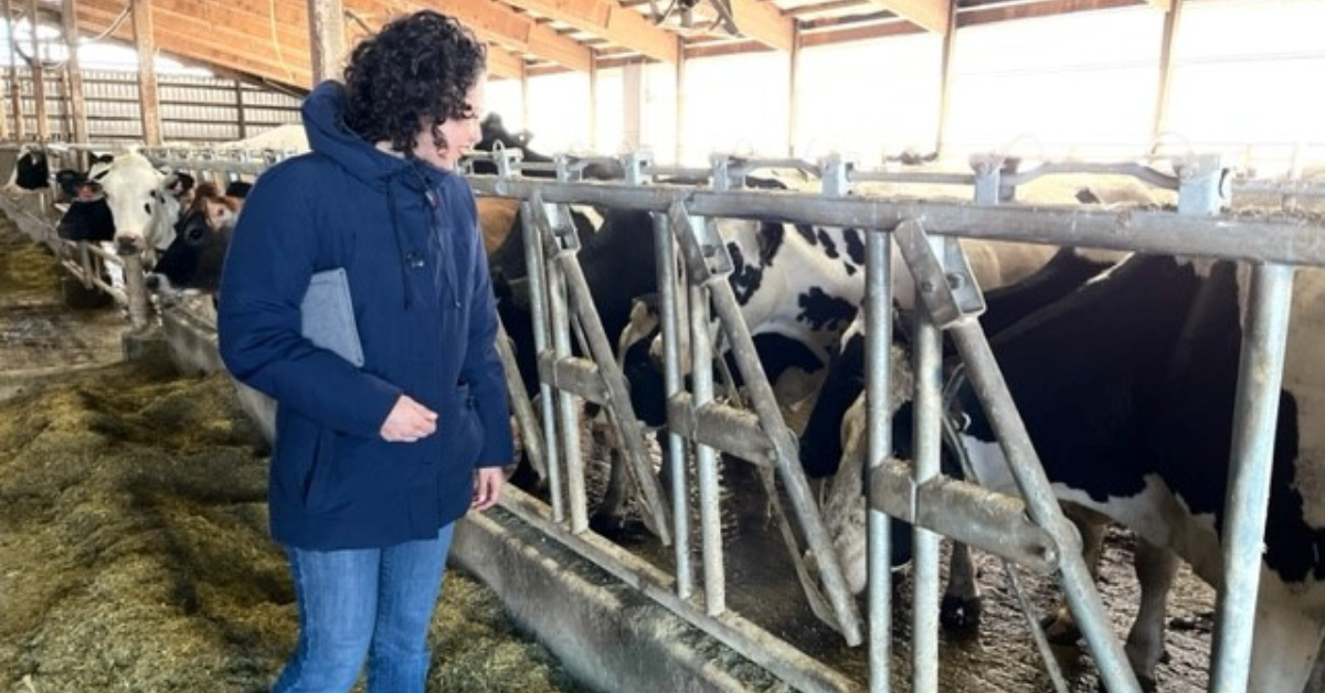 USDA Deputy Secretary of Agriculture, Xochitl Torres Small, looks at cows at Austin Schulte Dairy farm in Benton County. CREDIT USDA