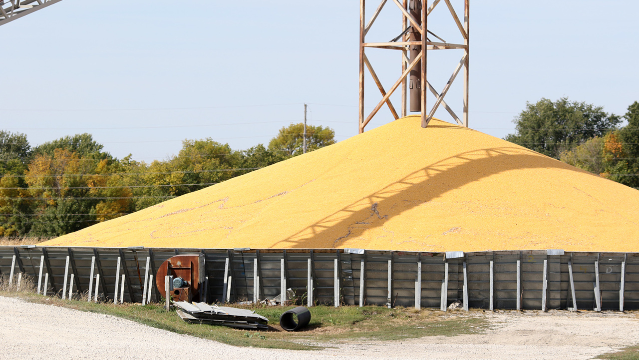 Iowa grain dealers losses