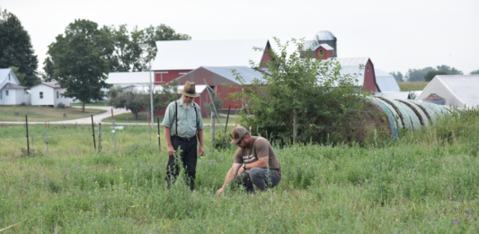Kalona SuperNatural has a vision of helping Amish and Mennonite dairy farmers around the country. CREDIT OPEN GATES GROUP