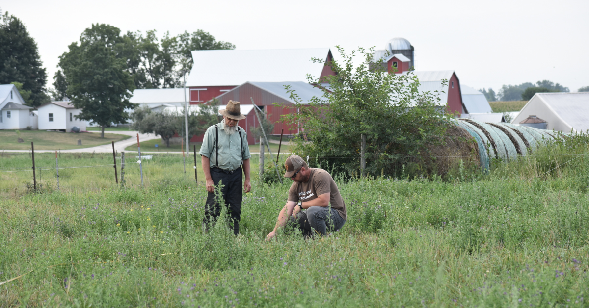 Kalona SuperNatural has a vision of helping Amish and Mennonite dairy farmers around the country. CREDIT OPEN GATES GROUP