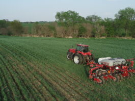 Mitchell Hora says regenerative agriculture have helped his farms. CREDIT MITCHELL HORA