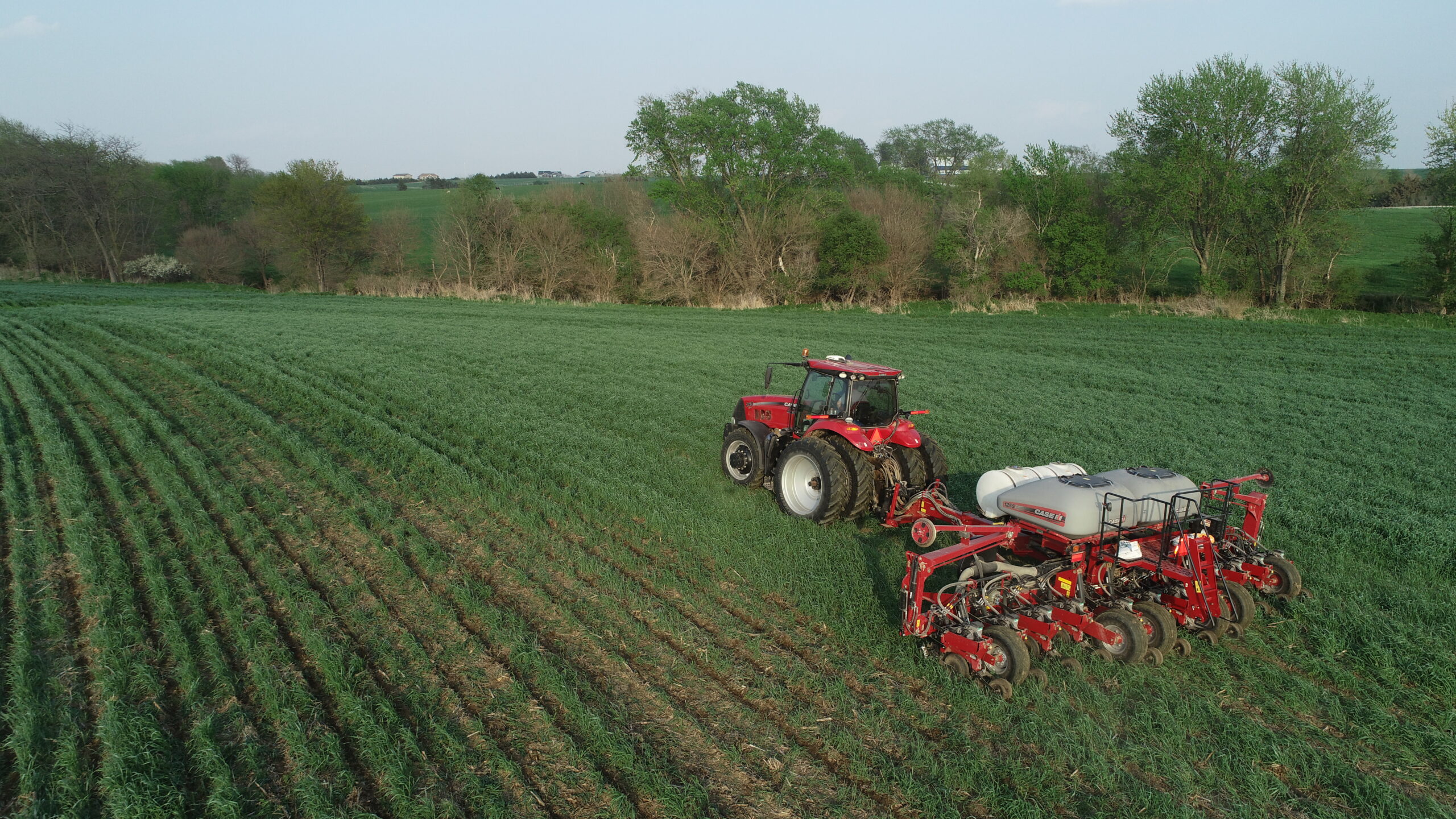 Mitchell Hora says regenerative agriculture have helped his farms. CREDIT MITCHELL HORA