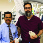 From left to right: Dr. Ravi Ash- wath and Dr. Osamah Aldoss hold 3D hearts printed at UIHC. CREDIT UNIVERSITY OF IOWA HEALTH CARE