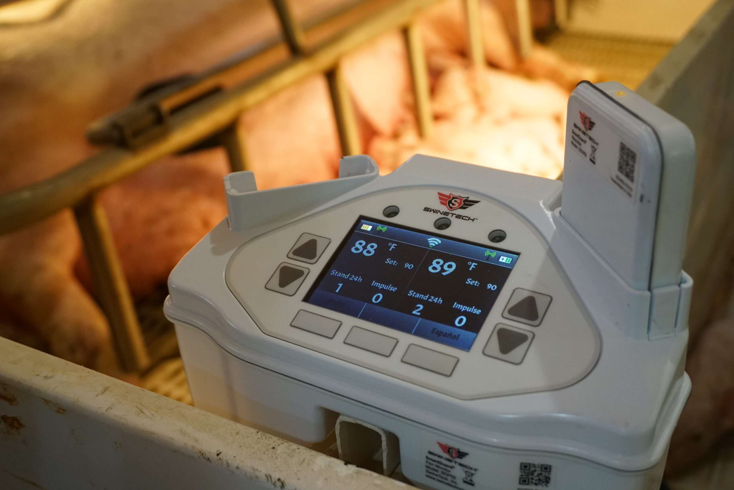 SmartGuard, a wearable device for sows that sends an alert when it rolls over a piglet. CREDIT SWINETECH