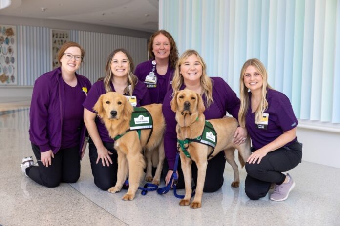 Nacho and Corrin, recent additions to the UI Stead Family Children's Hospital, pose with their handlers.