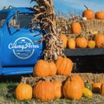 Colony Acres Family Farm has been picked by USA Today as one of the 10 top pumpkin patches in the country. Photo by Colony Acres Family Farm.