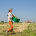 Farm Coordinator Sarah Nelson harvest-garlic scapes.