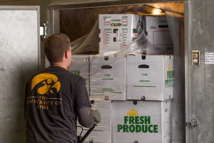 A worker loads produce into a refrigerator.