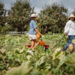 Healing Prairie Farm is hosting an open house Jan. 27 from 1-4 p.m.