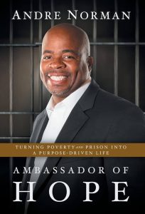 book cover of ambassador of hope