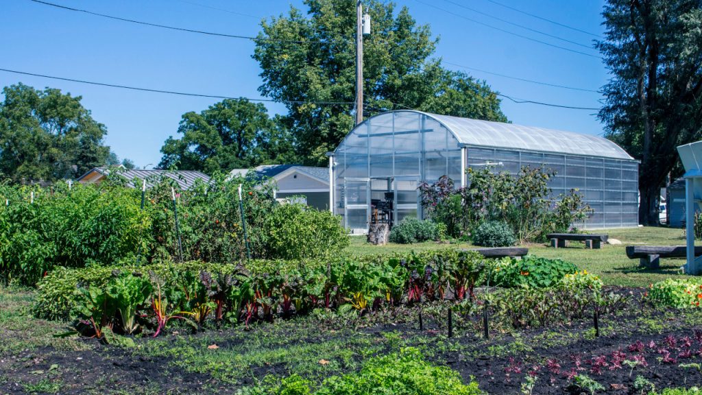Cultivate Hope Urban Farm Matthew 25