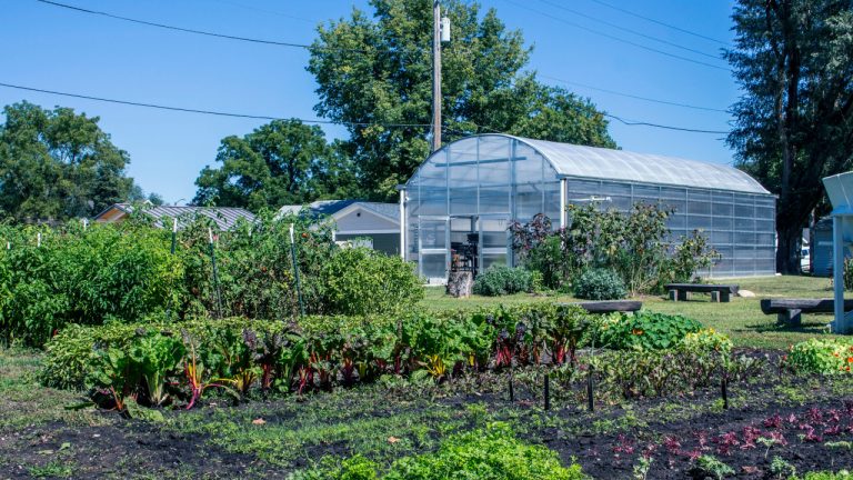 Cultivate Hope Urban Farm Matthew 25