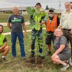 Trees Forever neighborhood tree captains