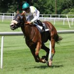 A jockey on a racing horse