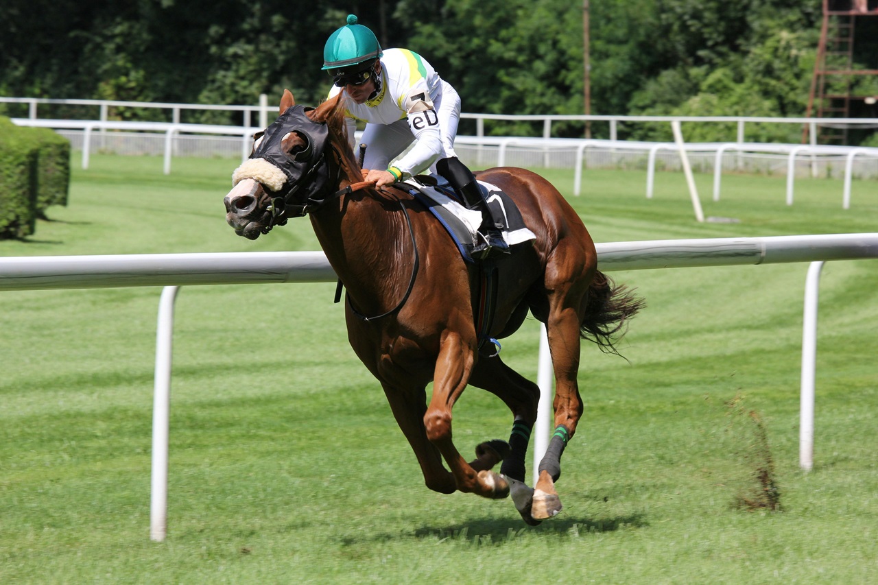 A jockey on a racing horse
