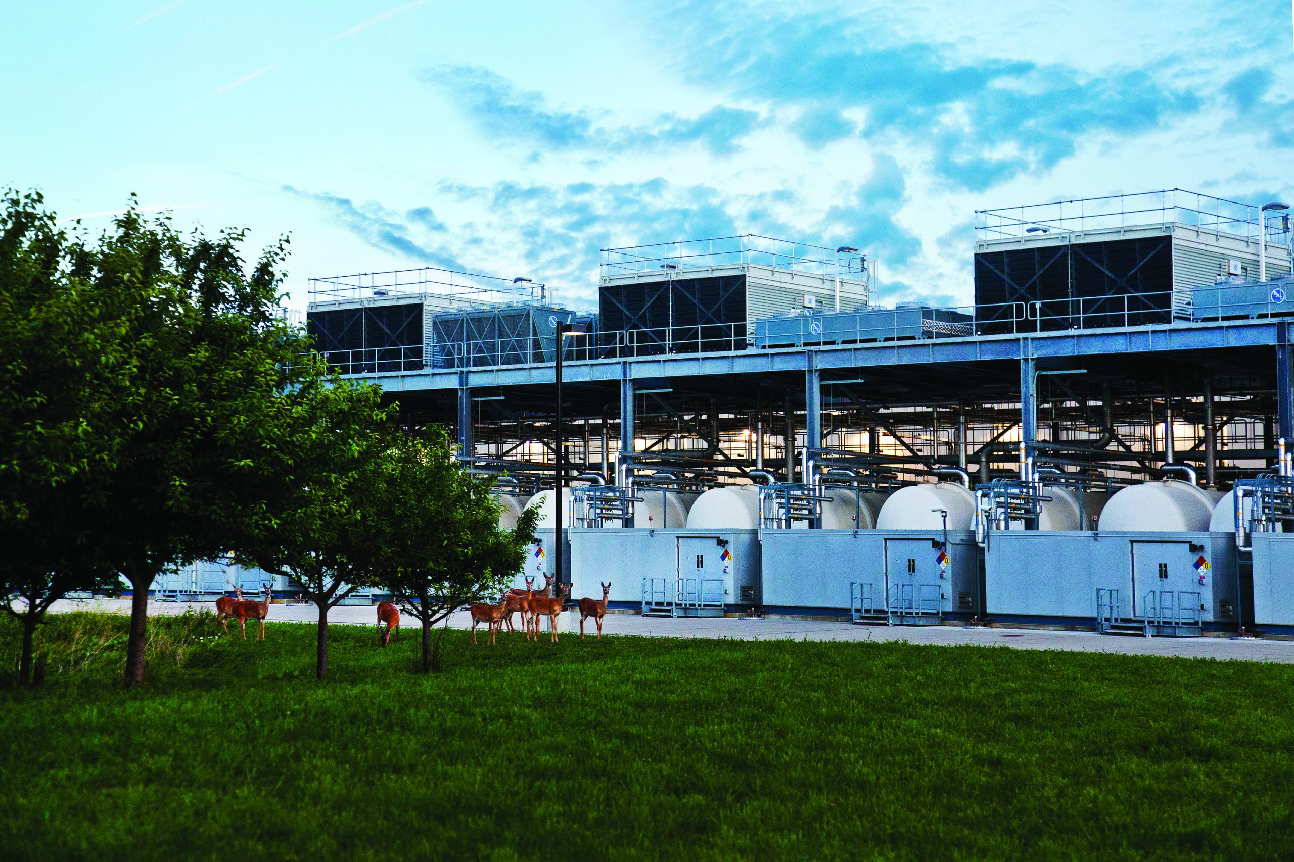 A family of deer is shown next to Google's Council Bluffs data center. CREDIT GOOGLE