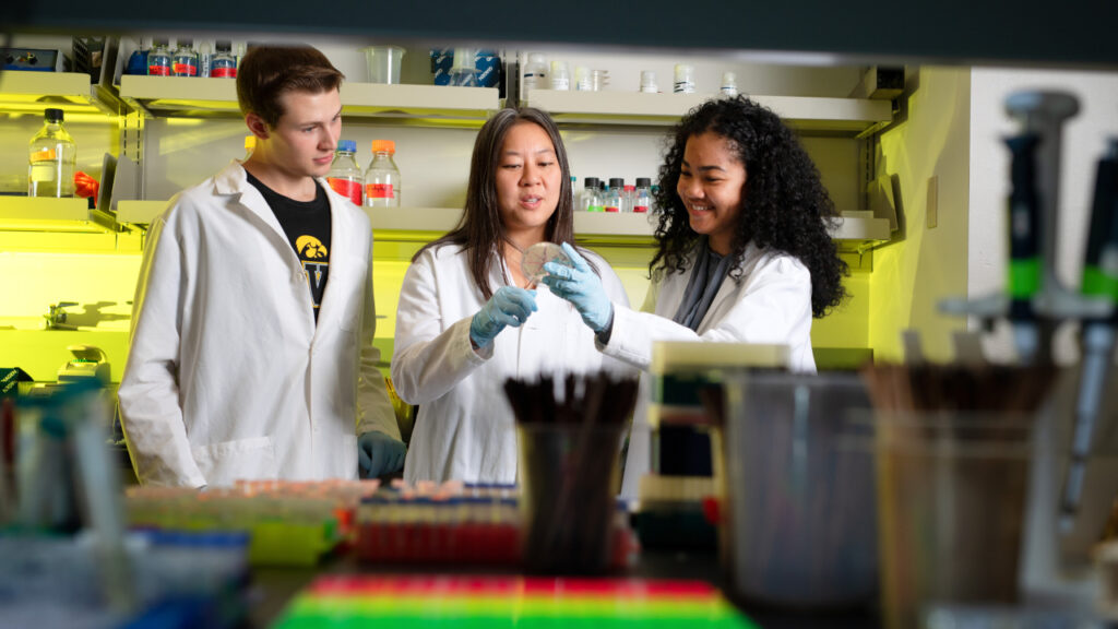 UI Medical Laboratory Science program