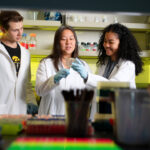 UI Medical Laboratory Science program