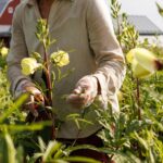 A farmer in gloves grasps a plant in a field.