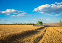 Ag industries bolster Iowa’s farm economy farm Harvesting combine in the field cropping cereal field