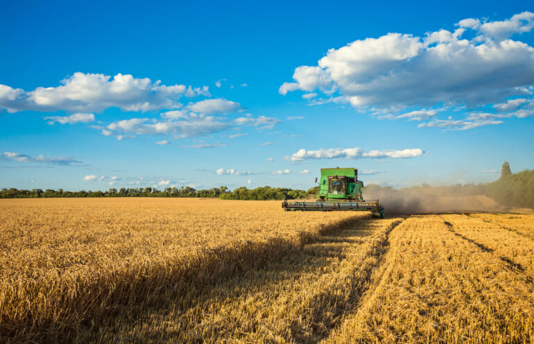 farm Harvesting combine in the field cropping cereal field