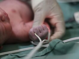 A medical professional grasps a newborn baby's wrist.
