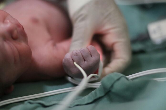pexels-gabi-orrico-194178369-28206179 A medical professional grasps a newborn baby's wrist.