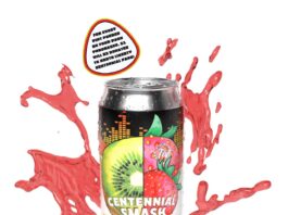 Field Day Brewing's Centennial Smash will benefit Building North Liberty’s Next Stage campaign and support the development of Centennial Park.