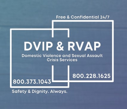 DVIP & RVAP logo DVIP & RVAP logo
