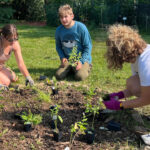 Northwestern Mutual Impact Day