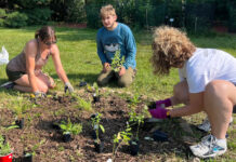 Northwestern Mutual Eastern Iowa to hold fifth annual Impact Day Northwestern Mutual Impact Day