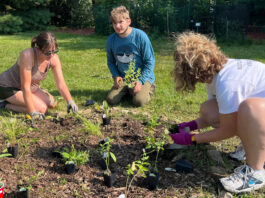 Northwestern Mutual Impact Day