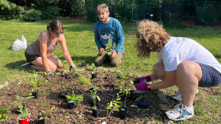 Northwestern Mutual Impact Day