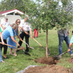 Cedar Rapids derecho tree planting