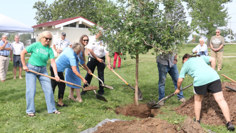 Cedar Rapids derecho tree planting