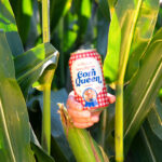 Big Grove Hailey Whitters Corn Queen beer