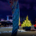 Five Seasons Lights