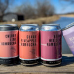 Kismet kombucha cans